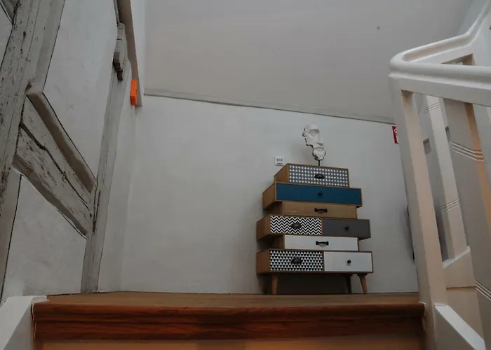Sporcher Nest