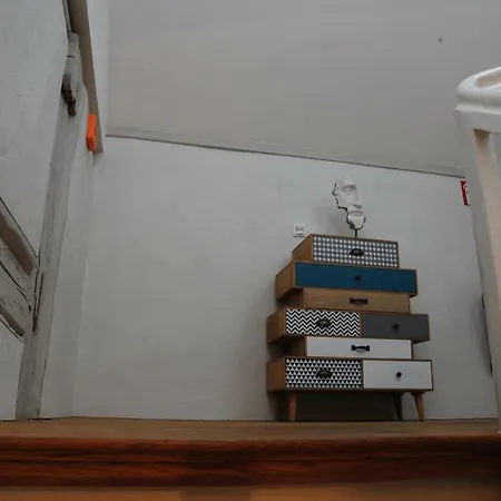 Sporcher Nest